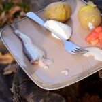 Surströmming