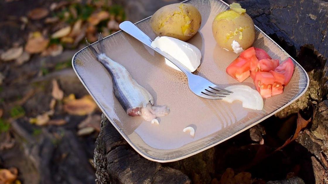 Surströmming Surströmming